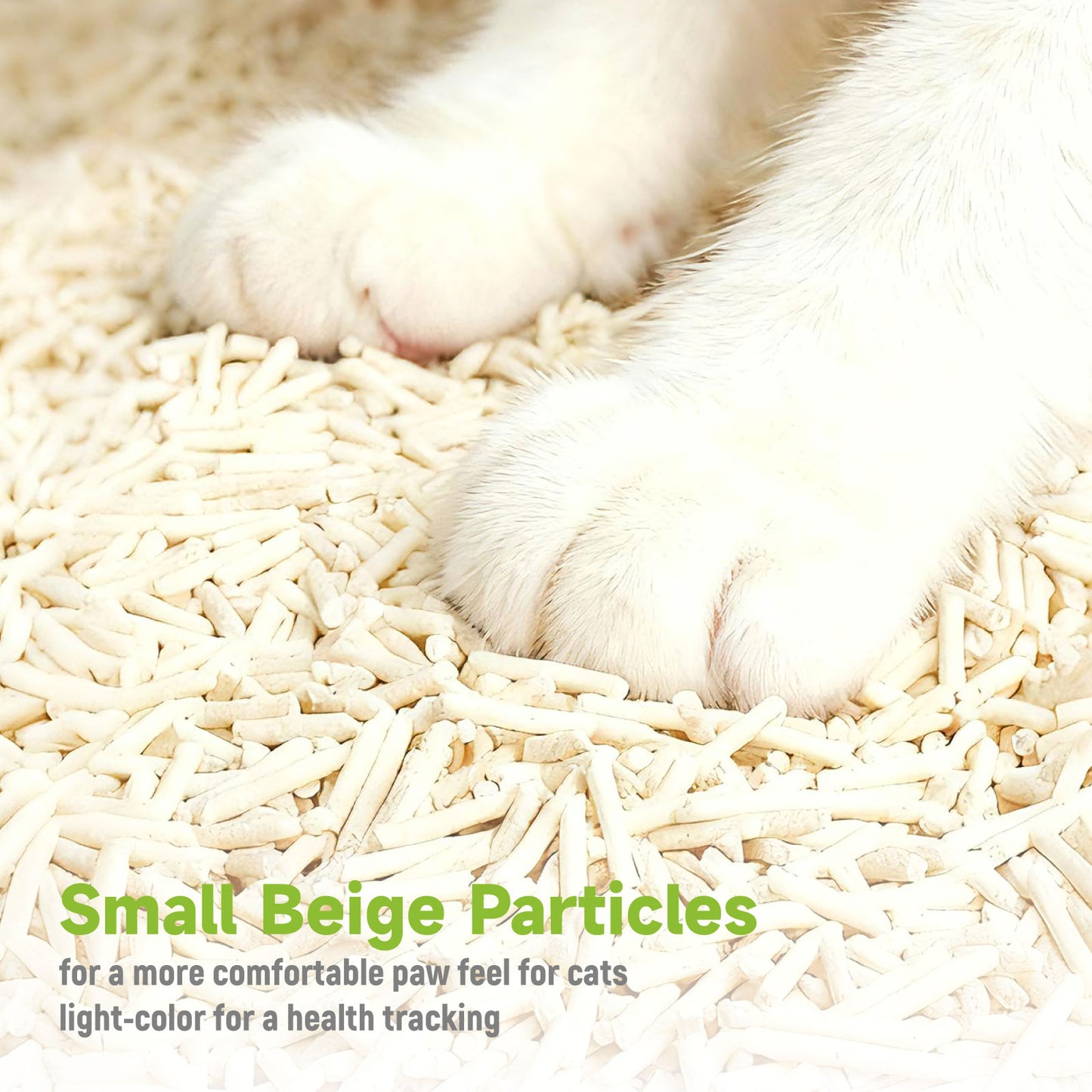 Tofu cat litter + Pearl cat litter