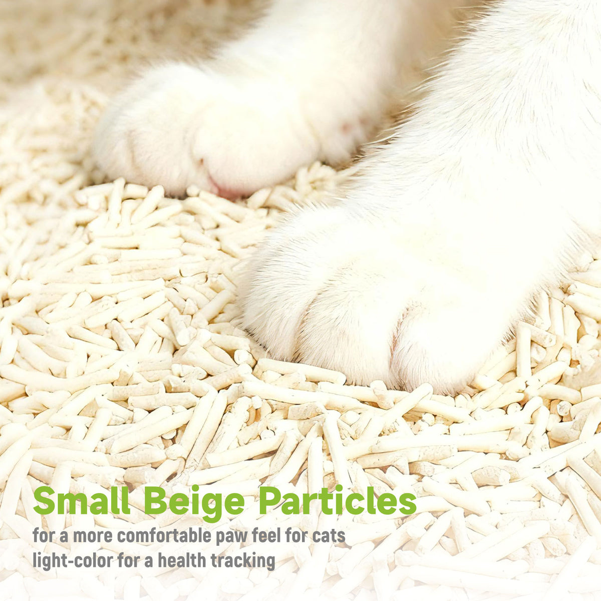 Cat paws on a blend of tofu pellets and cassava granules